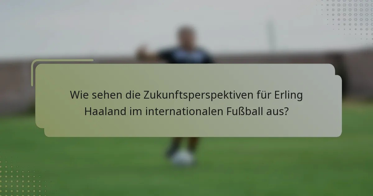 Wie sehen die Zukunftsperspektiven für Erling Haaland im internationalen Fußball aus?