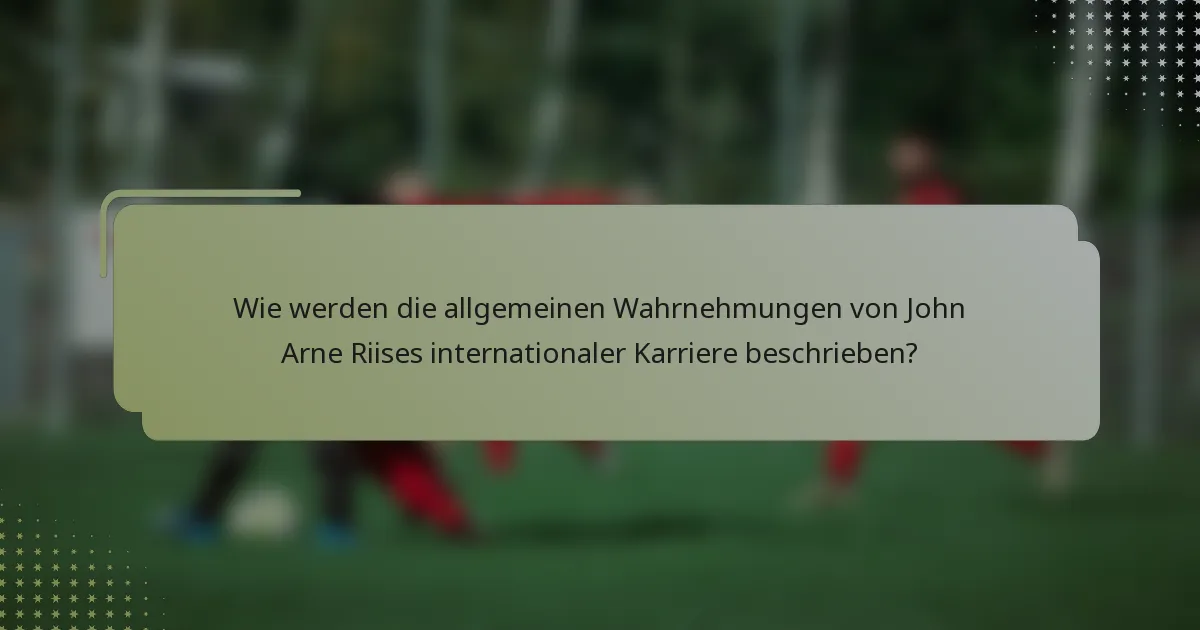 Wie werden die allgemeinen Wahrnehmungen von John Arne Riises internationaler Karriere beschrieben?